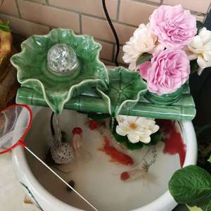 演唱《你是我心中一朵莲》