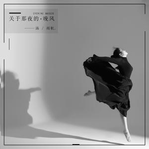 关于那夜的晚风