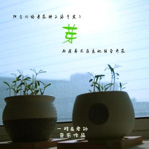 阳台的格桑花种子终于发了芽而我并不在意她能否开花（feat.一枝）
