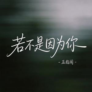 若不是因为你（抖音热播版）