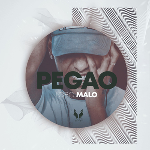 Pegao