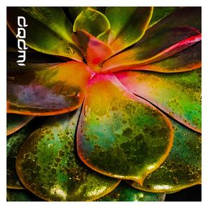 Emergence (Relaxing Music Mix) (Relaxing Music Mix)