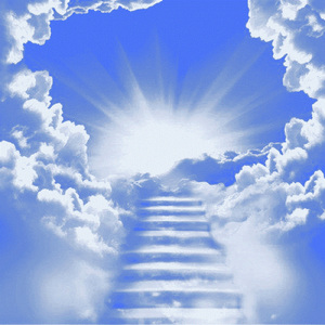 天空のたてがみ