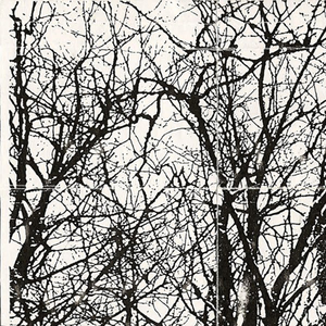 Andante Passione Attacca-Allegretto con Vivacita-Allegro