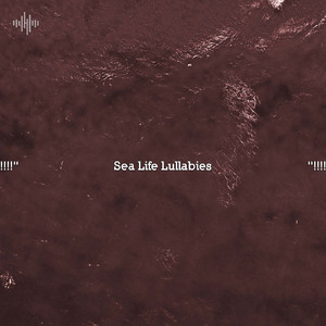 Perfect Ocean Sounds From The Lagoon