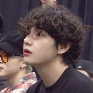 纸牌屋(esuoh fo sdarc of Bangtanboys)