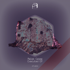 Executed (Original Mix)