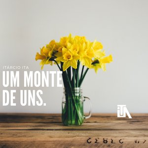 Um Monte De Uns