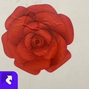 平凡的生活 (现场)