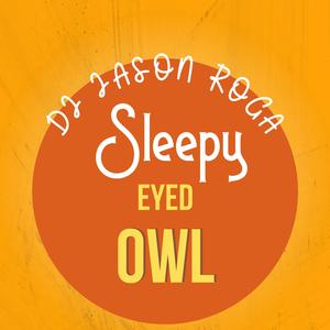 Sleepy Eyed Owl