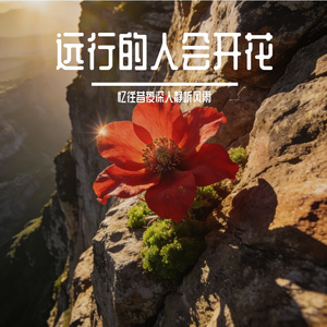 远行的人会开花