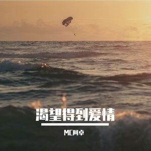 渴望得到的爱情