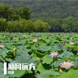 随风远方