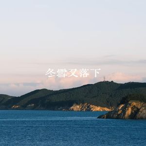 冬雪又落下