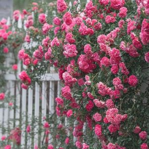 落在生命里的光