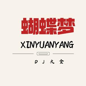 鸳鸯蝴蝶梦（DJ版）