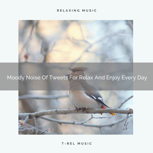 Peaceful White Noise Of Tweets For Gain Strength And Remake