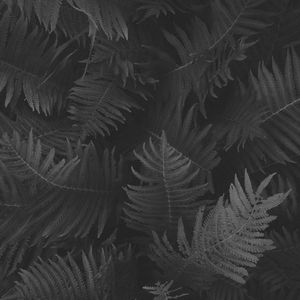 柔和的温泉时刻