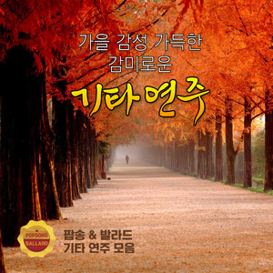 꿈결 같은 세상