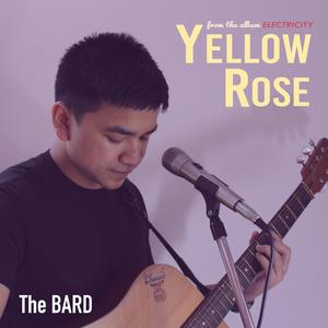 Yellow Rose
