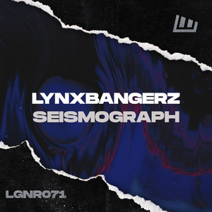 Seismograph (Extended Mix)