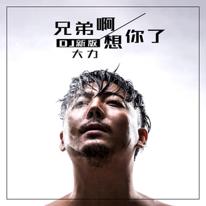 兄弟啊想你了 (DJ新版伴奏)