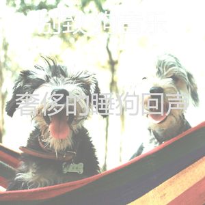 优美幼犬器乐