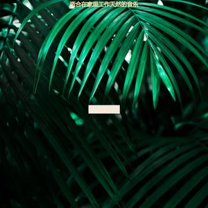 适合办公室工作高尚的音乐