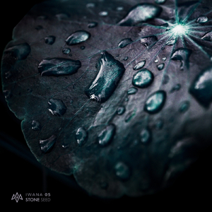 Charcoal (Khainz Remix)