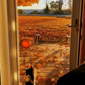 湫.（Prod by FakbeBlood）