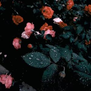 平行宇宙的我和你 (Remix)