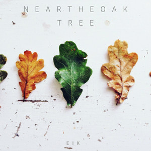 Welcome to the Maple Creek