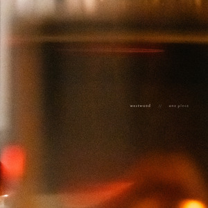 one piece (pecna Remix)