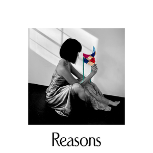 Reasons