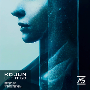 Let It Go (Nico Cranxx X Chris Rane Extended Remix)