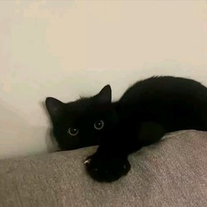 DJ小分-Dj阿欣2025(4).mp3（DJ小分 remix）