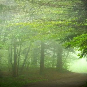 我是电子之梦的那位主角