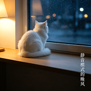 静音模式的晚风