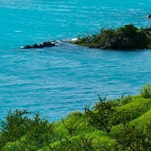 拥有信念的人 (7)