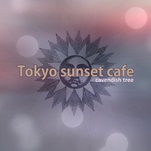 Tokyo Sunset Cafe