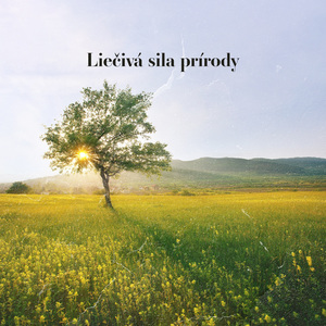 Transcendentálna meditácia