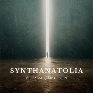 Bir Sabah Çıkıp Gelsen