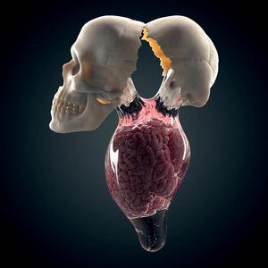 F.S.8（闪光弹）