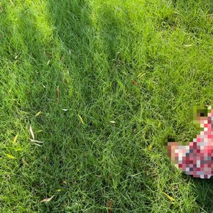 我们还能找到那里