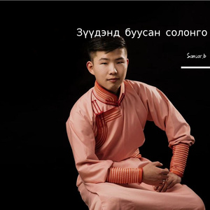 Sansar Zuudend buusan solongo