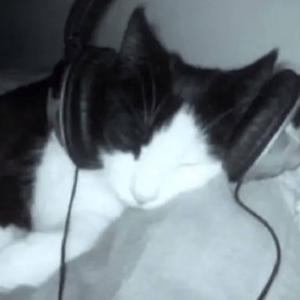 im just a terrible man