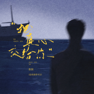 把真心交给你 (是我傻得可以)