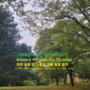 도시 속의 추억