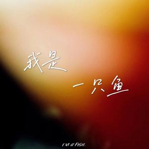 我是一只鱼