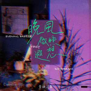 晚风微醺遐想（DJ弹鼓版）
